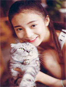 普通人如何投资黄金/绿色影院