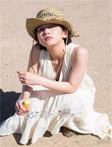 《莲开一夏》