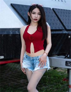 《冬天的鹰》