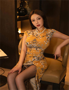 《金梅瓶视频》