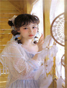 《捅马蜂窝的女孩》