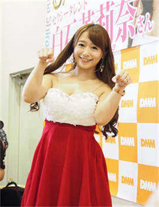 《检控署的故事》