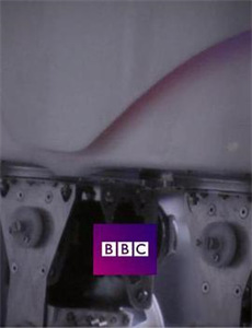 飞黄腾达之天纵英才