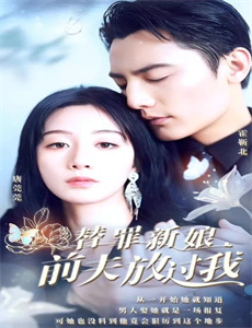 名侦探柯南唐红的恋歌